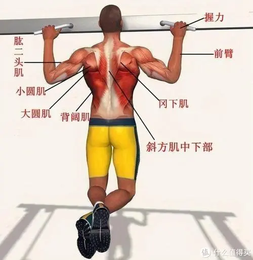 <strong>室内组合健身器材</strong>